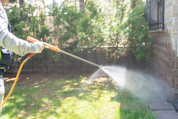 Best Mosquito Control  in Shields, MI